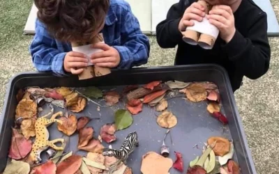 Cultivating the Best Disposition for Learning: A Guide to Nurturing Curiosity and Growth