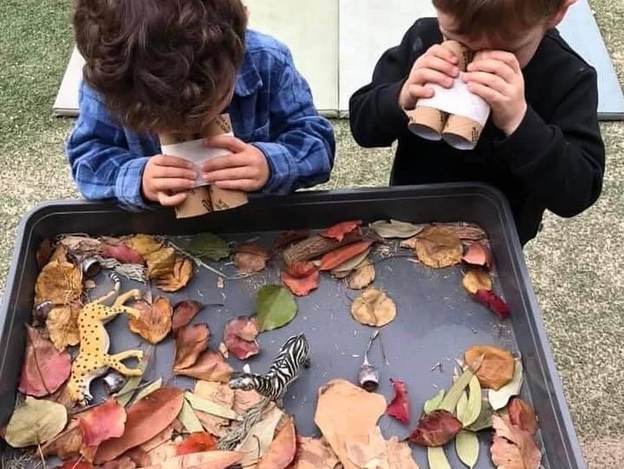 Cultivating the Best Disposition for Learning: A Guide to Nurturing Curiosity and Growth